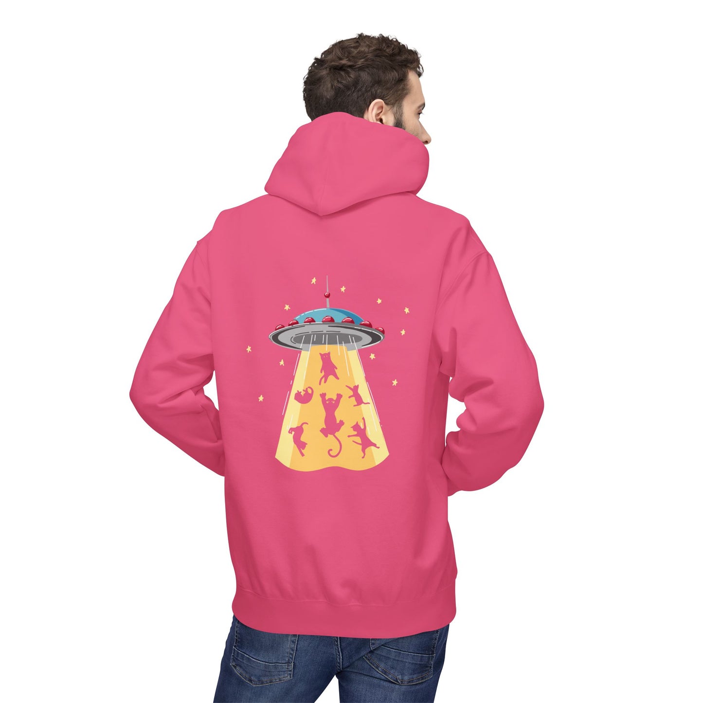 Alien UFO Cat Abduction Hoodie — Funny Pet Lover Graphic Hoodie