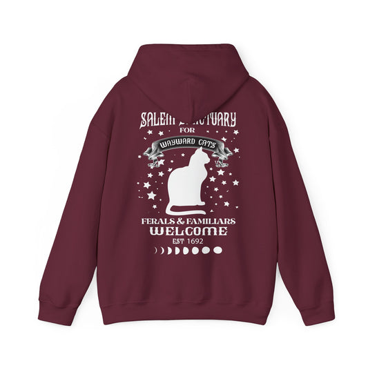 Unisex Heavy Blend™ Hooded Sweatshirt - Wayward Cat