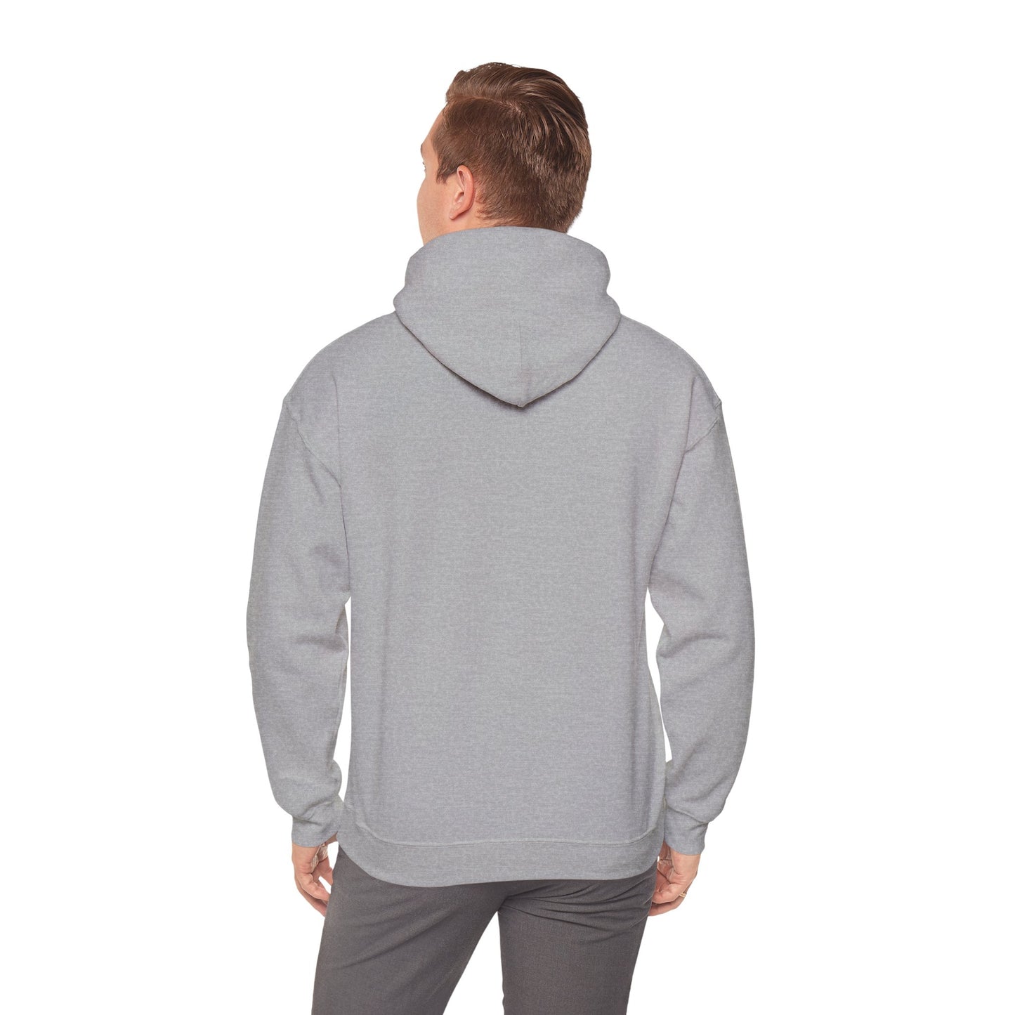 Cat on Bike Colorful Graphic Hoodie — Playful Bicycle Cat Art Sweatshirt