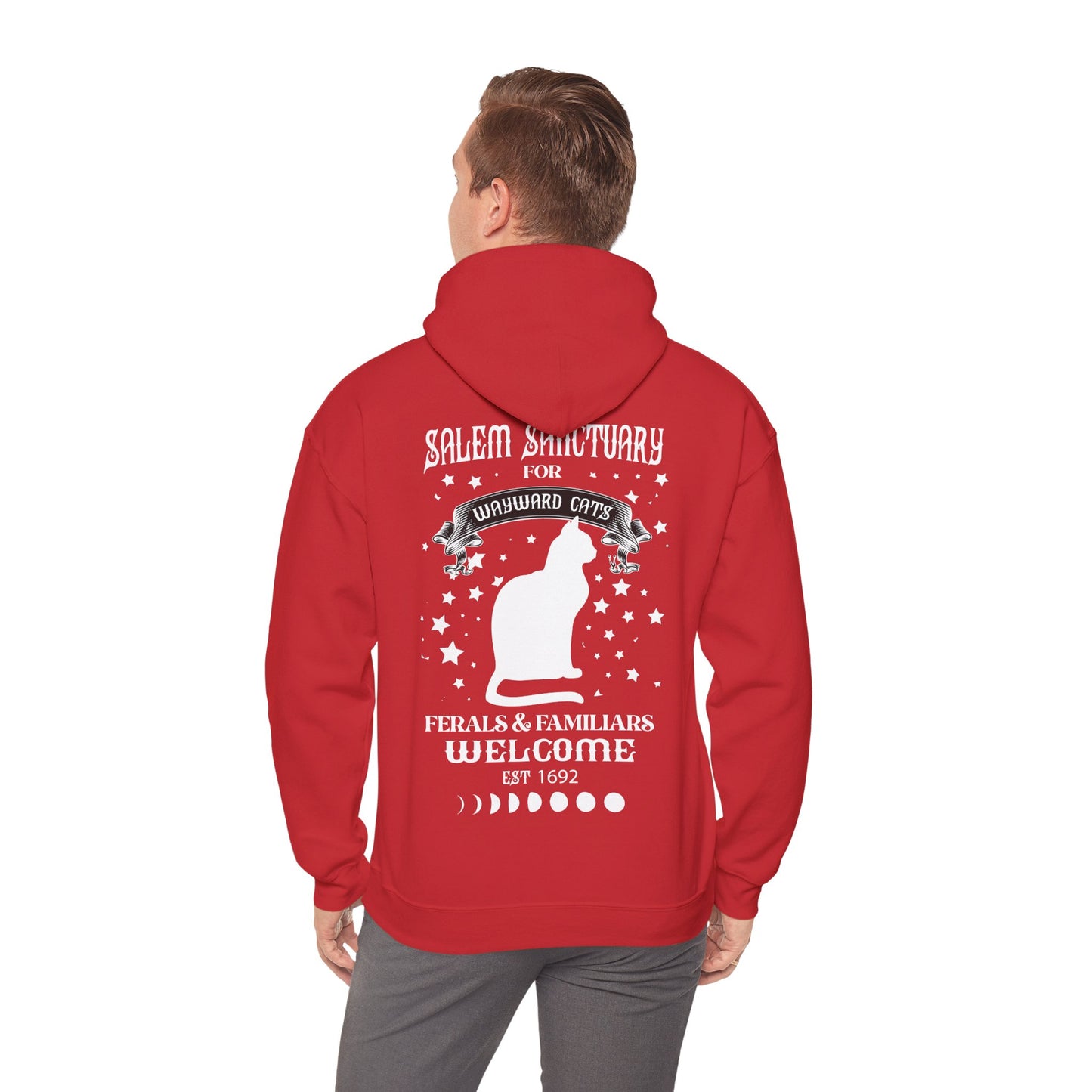 Unisex Heavy Blend™ Hooded Sweatshirt - Wayward Cat