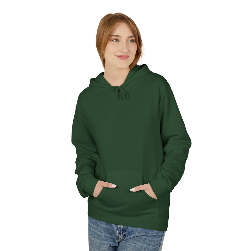 Alien UFO Cat Abduction Hoodie — Funny Pet Lover Graphic Hoodie