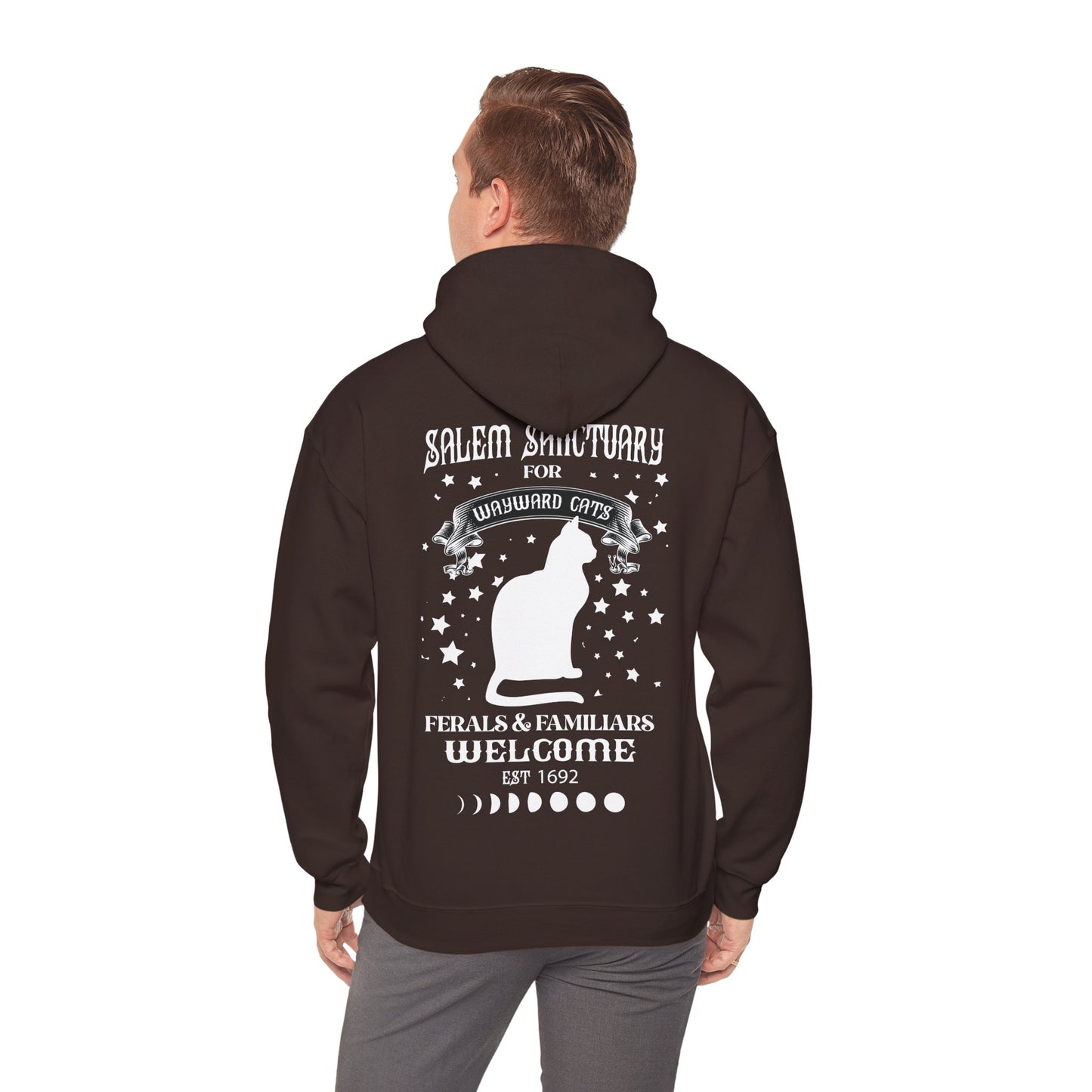 Unisex Heavy Blend™ Hooded Sweatshirt - Wayward Cat