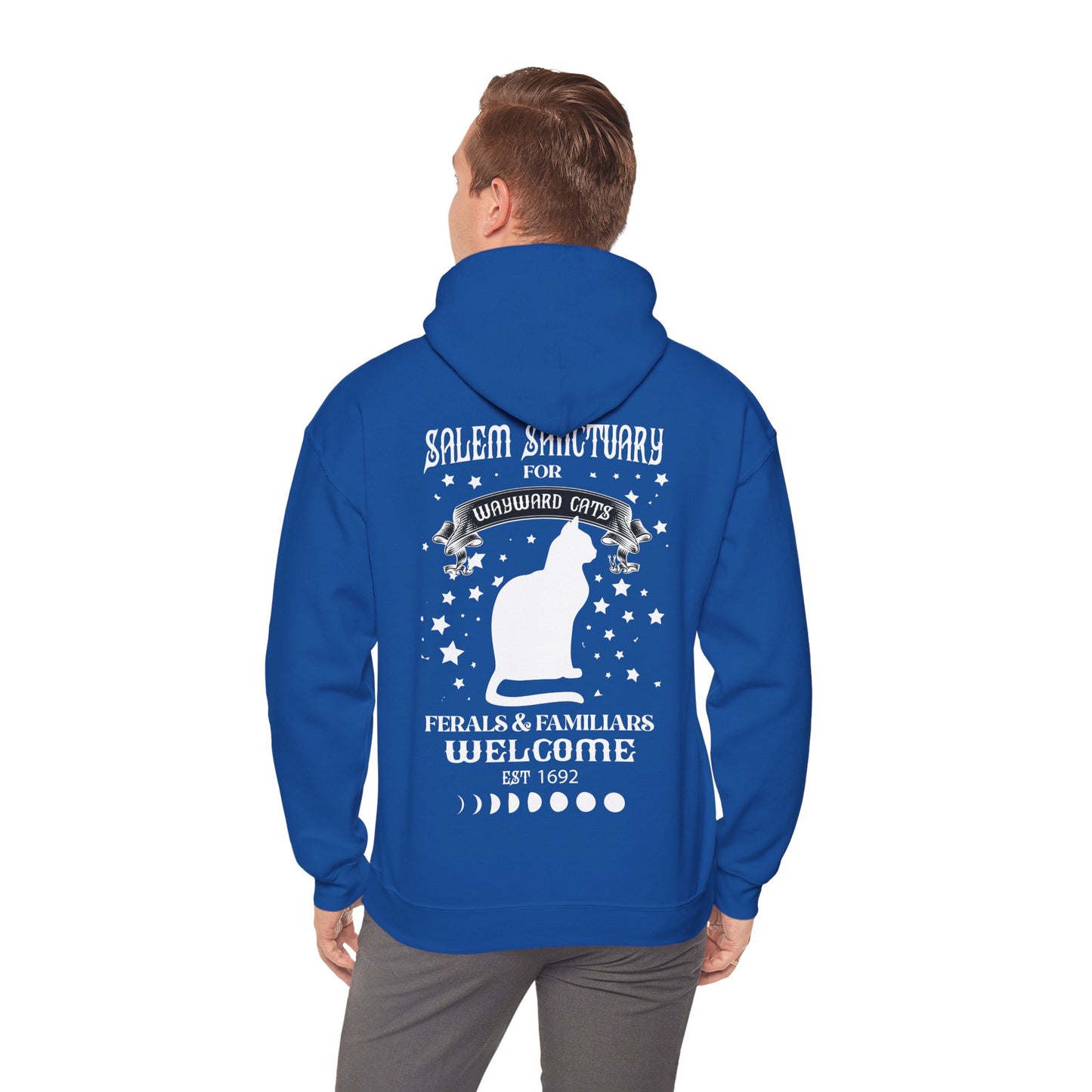 Unisex Heavy Blend™ Hooded Sweatshirt - Wayward Cat