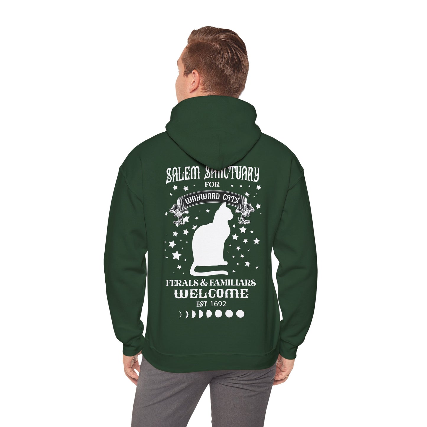 Unisex Heavy Blend™ Hooded Sweatshirt - Wayward Cat