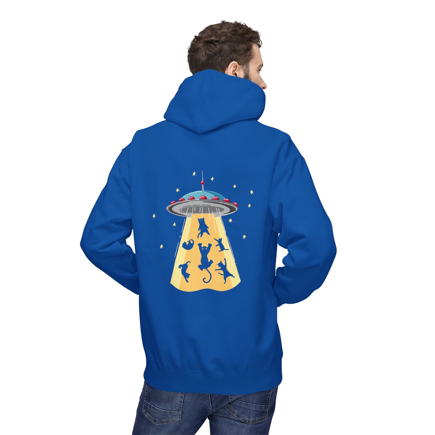 Alien UFO Cat Abduction Hoodie — Funny Pet Lover Graphic Hoodie