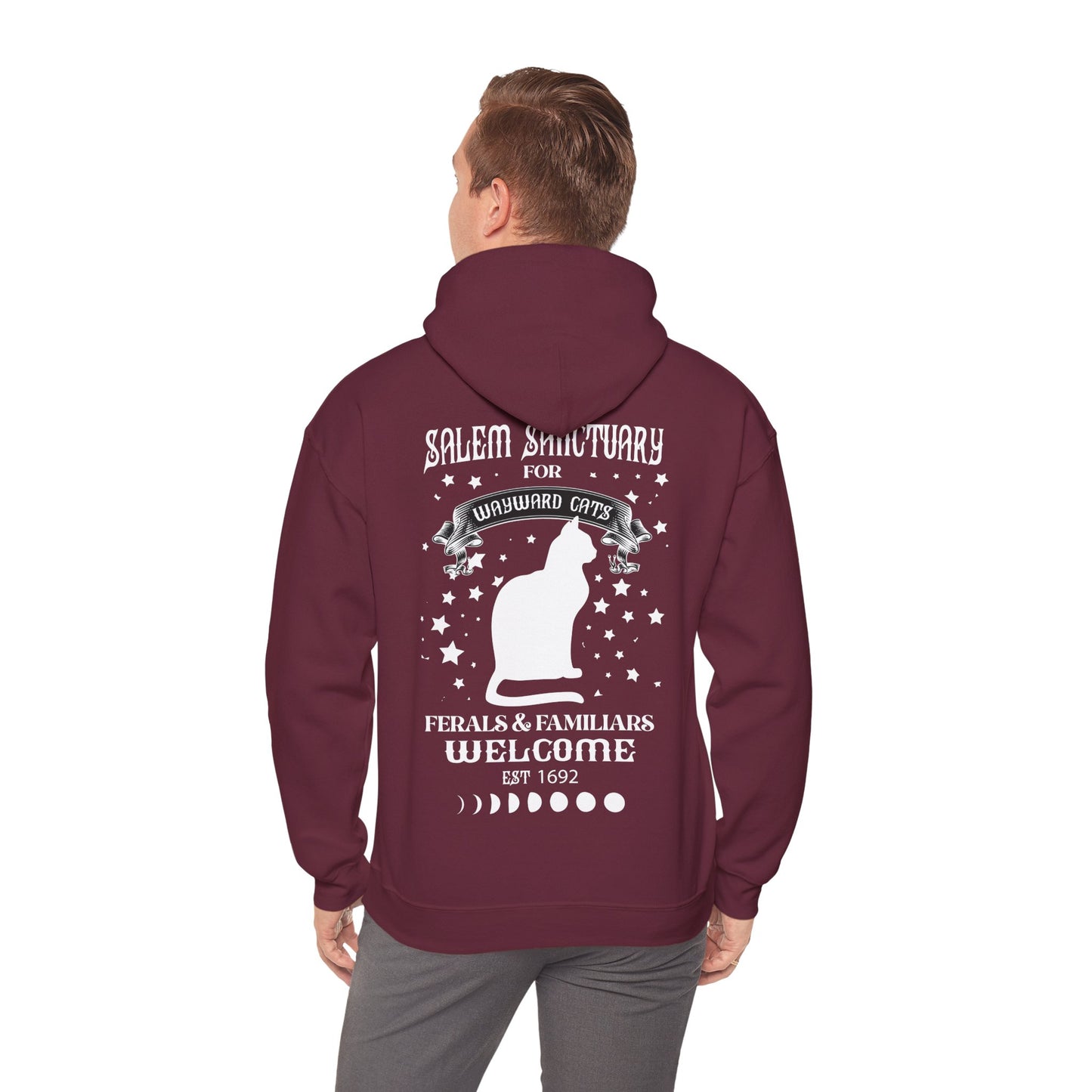 Unisex Heavy Blend™ Hooded Sweatshirt - Wayward Cat